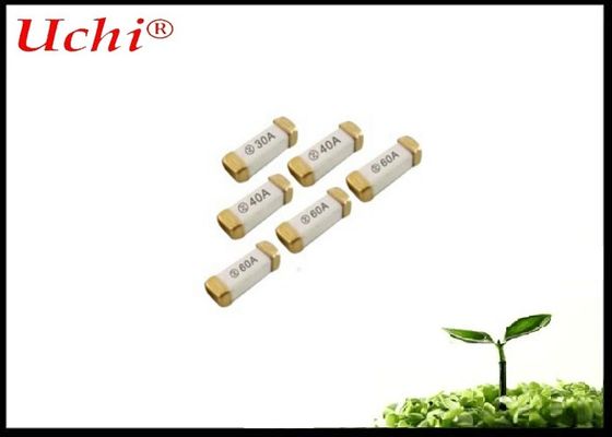 Fuse Keramik Berfungsi Cepat 2A 250V